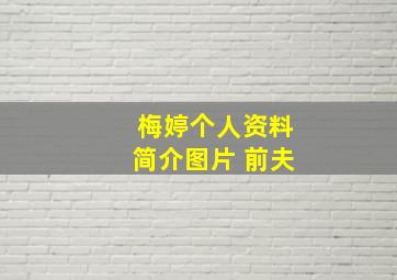 梅婷个人资料简介图片 前夫